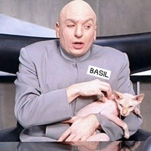 screenshot of dr evil from austin powers holding his hairless cat, basil