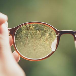 the camera looks through a glasses lens. in the lens are clear trees.