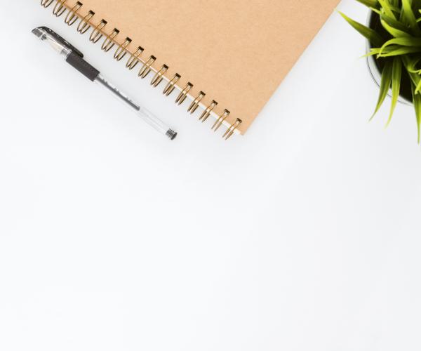 photo of a bird's eye view one thirds of a notebook and half of a potted plant on top of a white desk