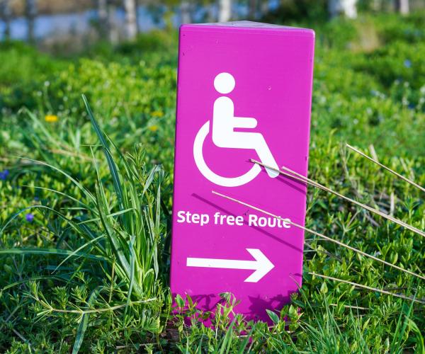a bright pink disability sign in a patch of grass. the sign reads "step free route" and has an arrow pointing to the right below the text