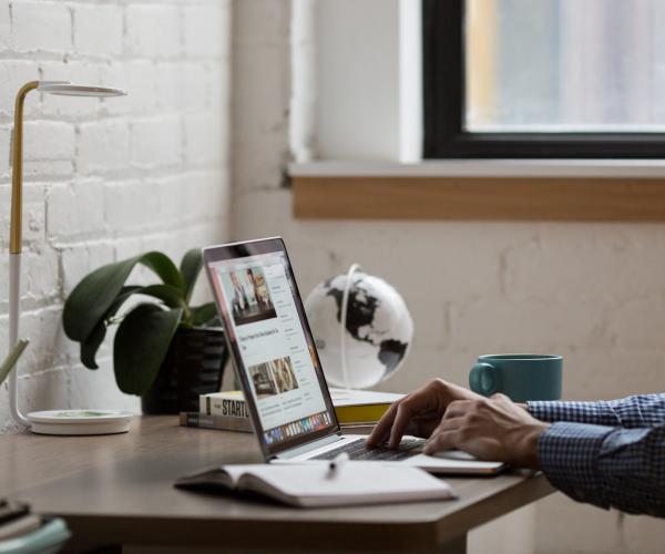 someone types on their macbook hich is atop a desk. the desk has a lamp and a plant on top of it