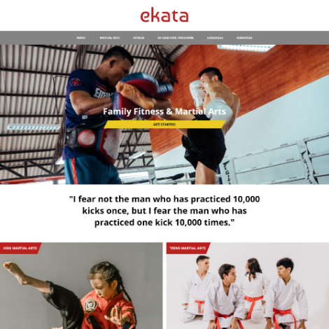 Homepage design for Ekata's website.