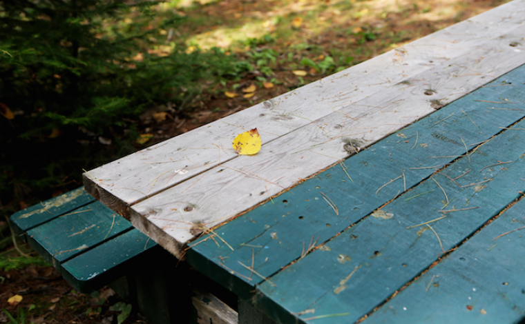 picnic table at a park