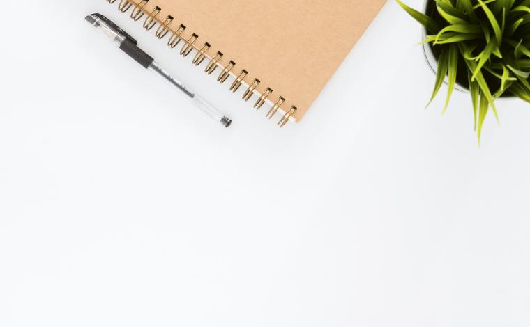 photo of a bird's eye view one thirds of a notebook and half of a potted plant on top of a white desk