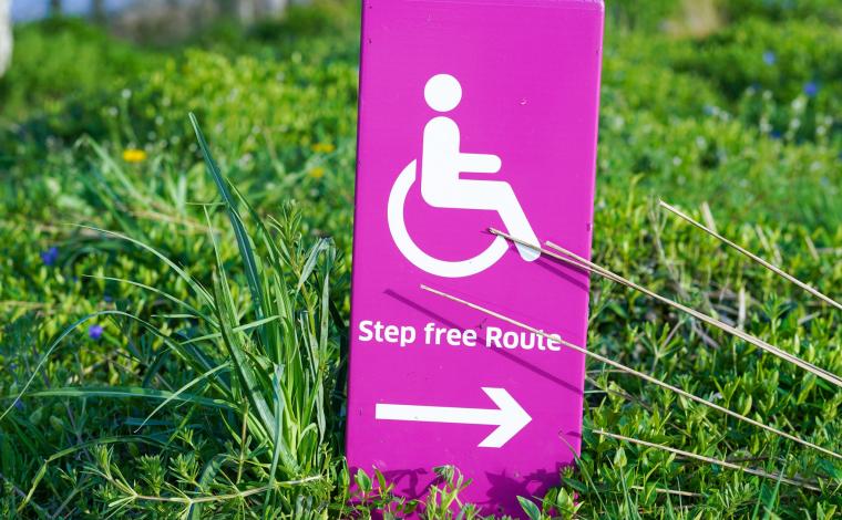 a bright pink disability sign in a patch of grass. the sign reads "step free route" and has an arrow pointing to the right below the text